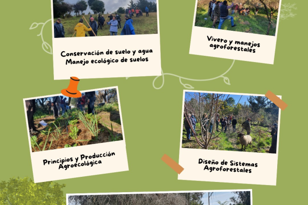 afiche curso af marzo 26